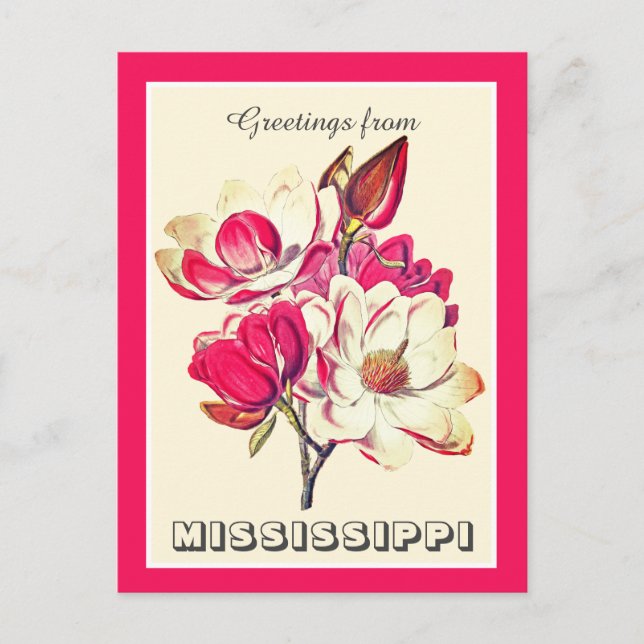 Postal Saludos vintage de Mississippi Magnolia (Anverso)
