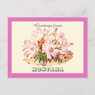 Postal Saludos vintage de Montana Bitterroot