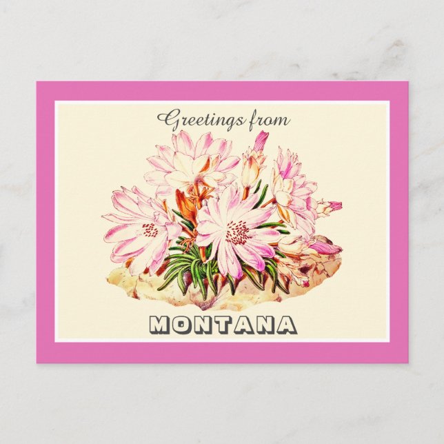 Postal Saludos vintage de Montana Bitterroot (Anverso)