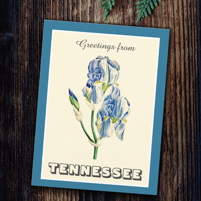 Postal Saludos vintage de Tennessee Blue Iris (Subido por el creador)