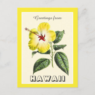 Postal Saludos vintage del Hibiscus amarillo hawaiano
