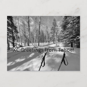 Postal ¡Saludos XC de Tahoe!