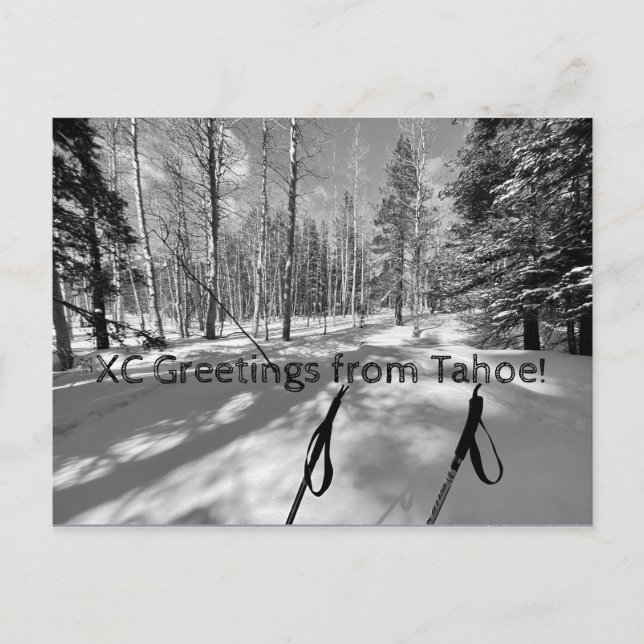 Postal ¡Saludos XC de Tahoe! (Anverso)