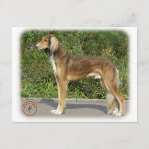 Postal Saluki