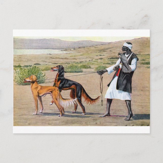 Postal saluki (Anverso)