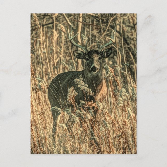 Postal salvaje al aire libre Camouflage venado blanco (Anverso)