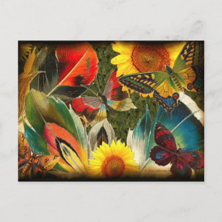 Postal Salvaje con un borde