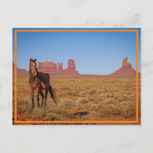 Postal salvaje en el sudoeste