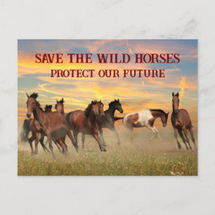 Postal Salvar a los Caballos Salvajes