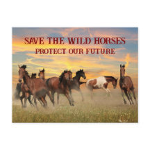 Salvar a los Caballos Salvajes