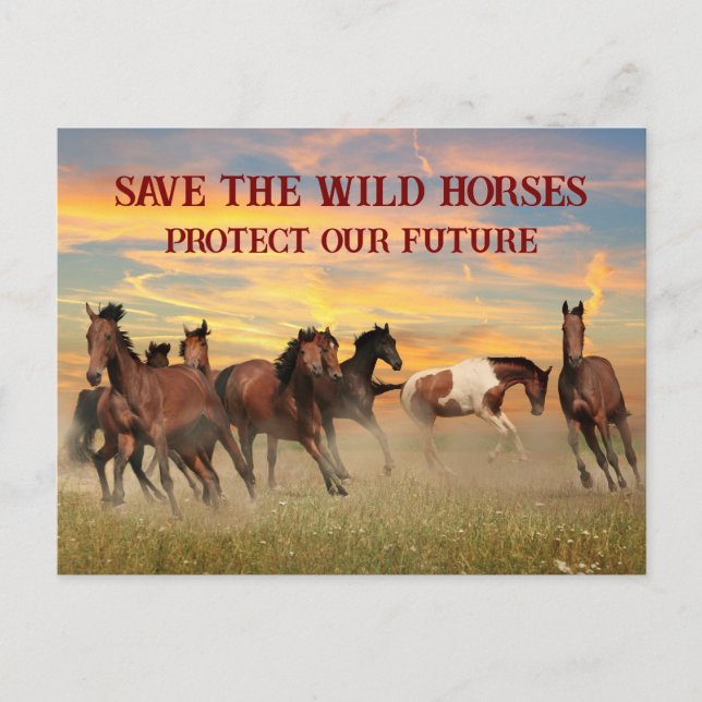 Postal Salvar a los Caballos Salvajes (Anverso)