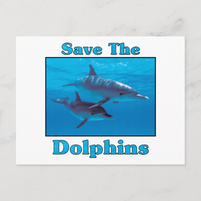 Postal Salvar a los delfines (Anverso)