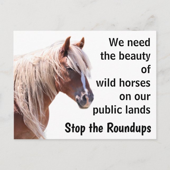 Postal Salvar a nuestros salvajes caballos (Anverso)