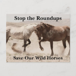 Postal Salvar a nuestros salvajes caballos