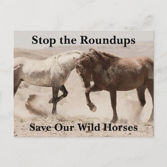 Postal Salvar a nuestros salvajes caballos (Anverso)