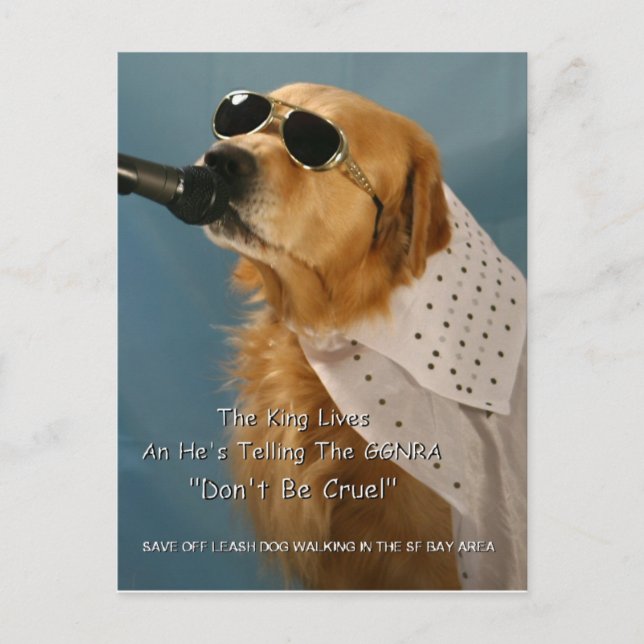 Postal Salvar al boxeador senador que camina fuera de la  (Anverso)