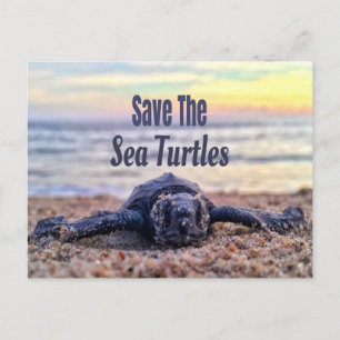 Postal Salvar Las Tortugas Marinas
