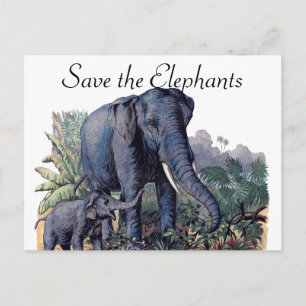 Postal Salvemos a los elefantes