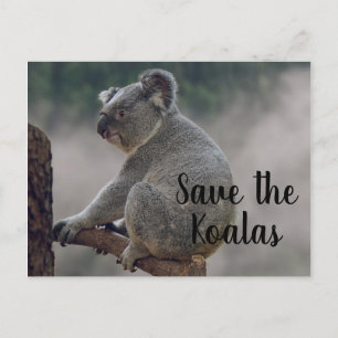 Postal Salven a los Koalas