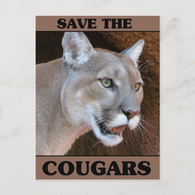 Postal Salven al Cougar (Anverso)