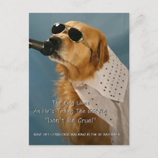 Postal Salven al perro fuera de la cortina Senador Feinst