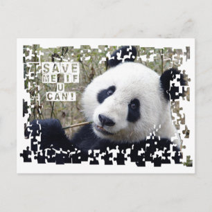 Postal Salven El Gigante Panda