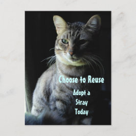 Postal ¡Salven Una Vida! ¡Adopta Un Mascota De Refugio!