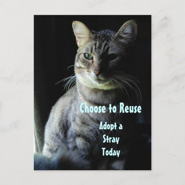 Postal ¡Salven Una Vida! ¡Adopta Un Mascota De Refugio! (Anverso)