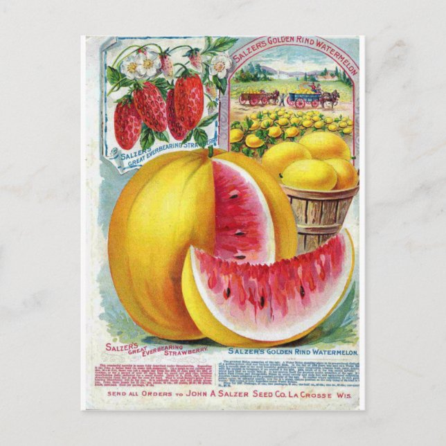 Postal Salzer Watermelons (Anverso)