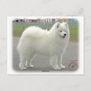 Postal Samoyed