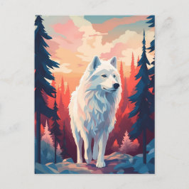 Postal Samoyed en el bosque durante la puesta de sol