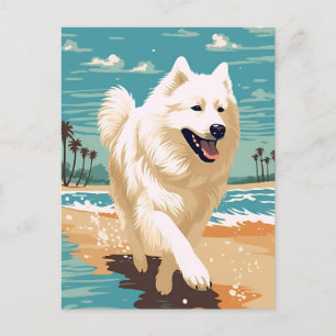 Postal Samoyed en la playa