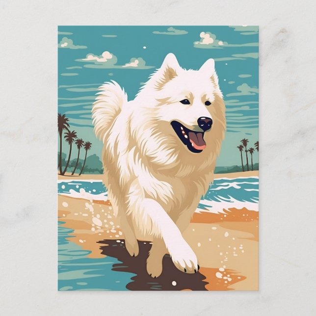 Postal Samoyed en la playa (Anverso)