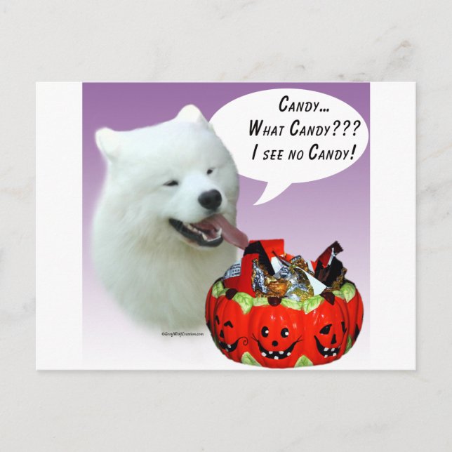 Postal Samoyed Halloween Candy (Anverso)