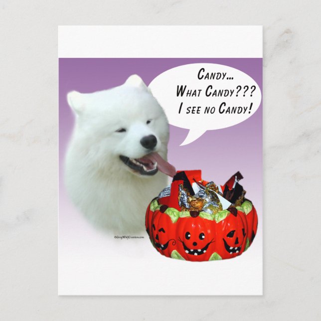 Postal Samoyed Halloween Candy (Anverso)