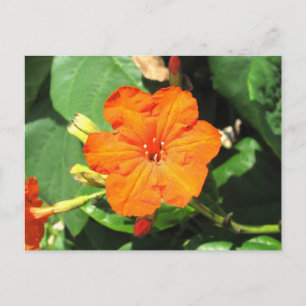 Postal San Andrés, Colombia