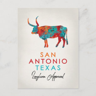 Postal San Antonio Texas Colorful Longhorn