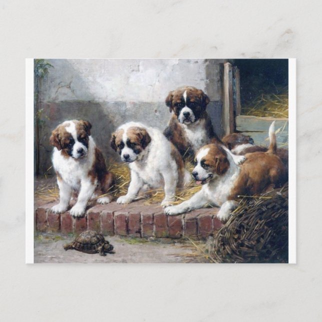 Postal San Bernardo cachorro tortuga adorable pintar perr (Anverso)