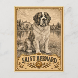 Postal San Bernardo, perro vintage de herencia