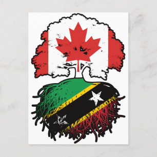 Postal San Cristóbal Kittiano y raíces de árbol canadiens