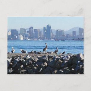 Postal San Diego Pelicans Biricans City Skyline Water