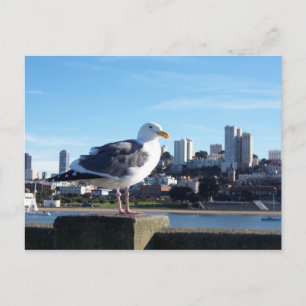 Postal san francisco.