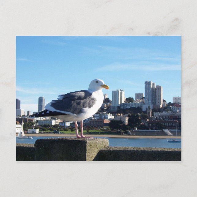 Postal san francisco. (Anverso)
