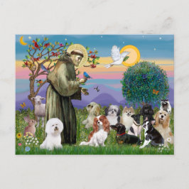 Postal San Francisco con 10 perros
