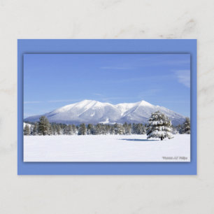 Postal San Francisco Picos En Nieve