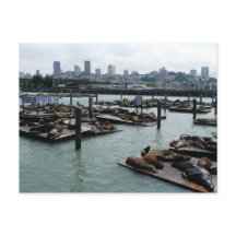 San Francisco y leones marinos del Pier 39 en el h