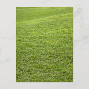 Postal San Juan, Puerto Rico - La hierba verde es