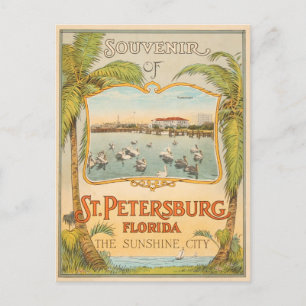 Postal San Petersburgo Florida La cosecha de la Ciudad de