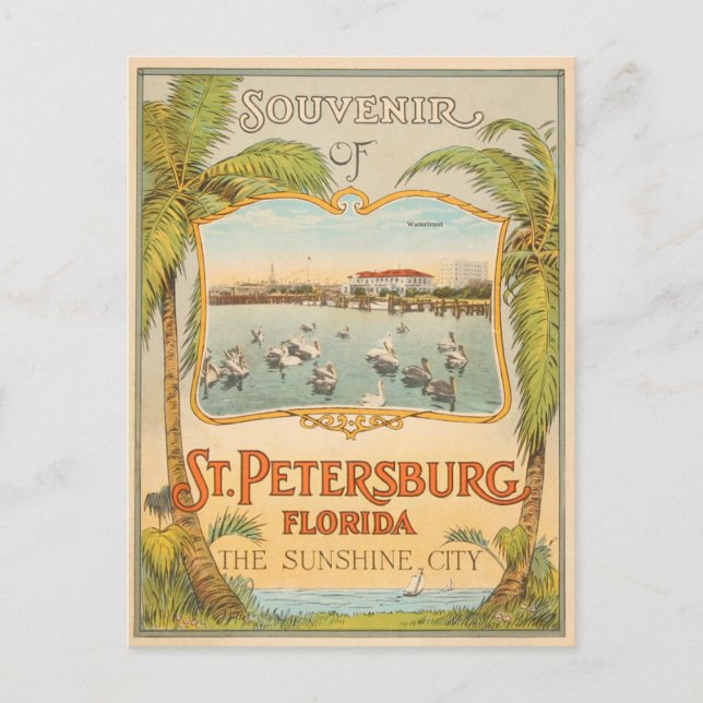 Postal San Petersburgo Florida La cosecha de la Ciudad de (Anverso)