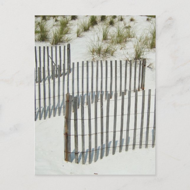Postal Sand Dune Fence (Anverso)